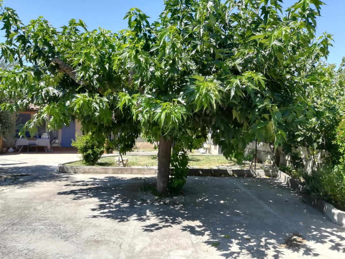 La Maison D'Ogooue Carpentras Ngoại thất bức ảnh